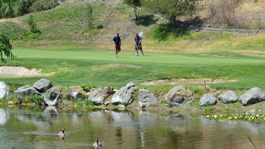 McInnis Park GC