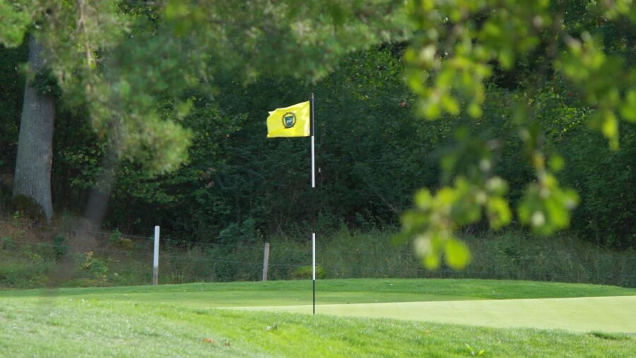 Viksjo GC