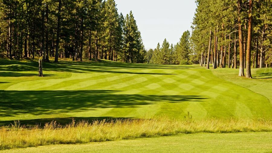 Widgi Creek GC: #12