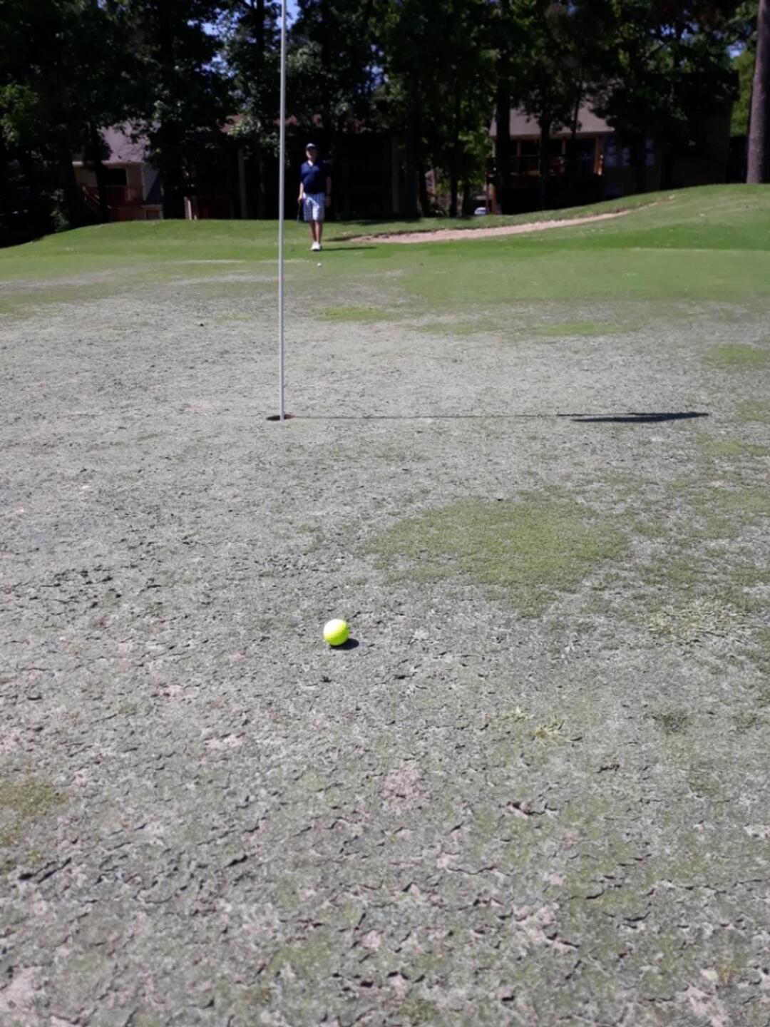 (Photo submitted by u155490176 on 04/11/2021)