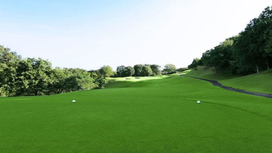 PGM Tomioka CC North - Blue: #4
