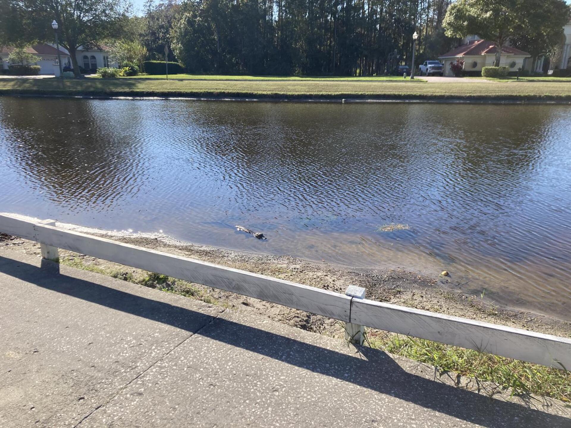 (Photo submitted by u000007359718 on 12/10/2022)