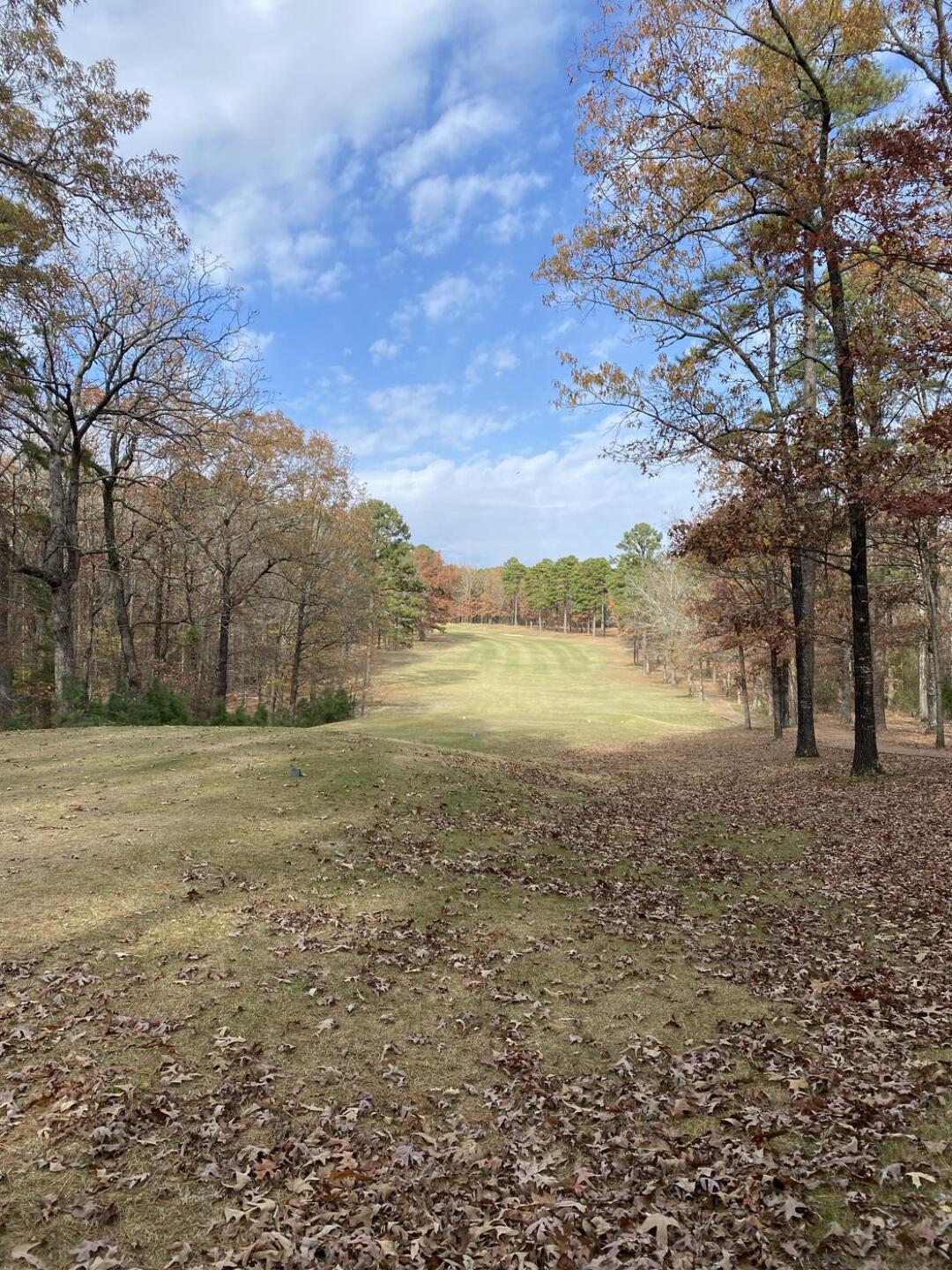 (Photo submitted by hcranford on 12/03/2024)