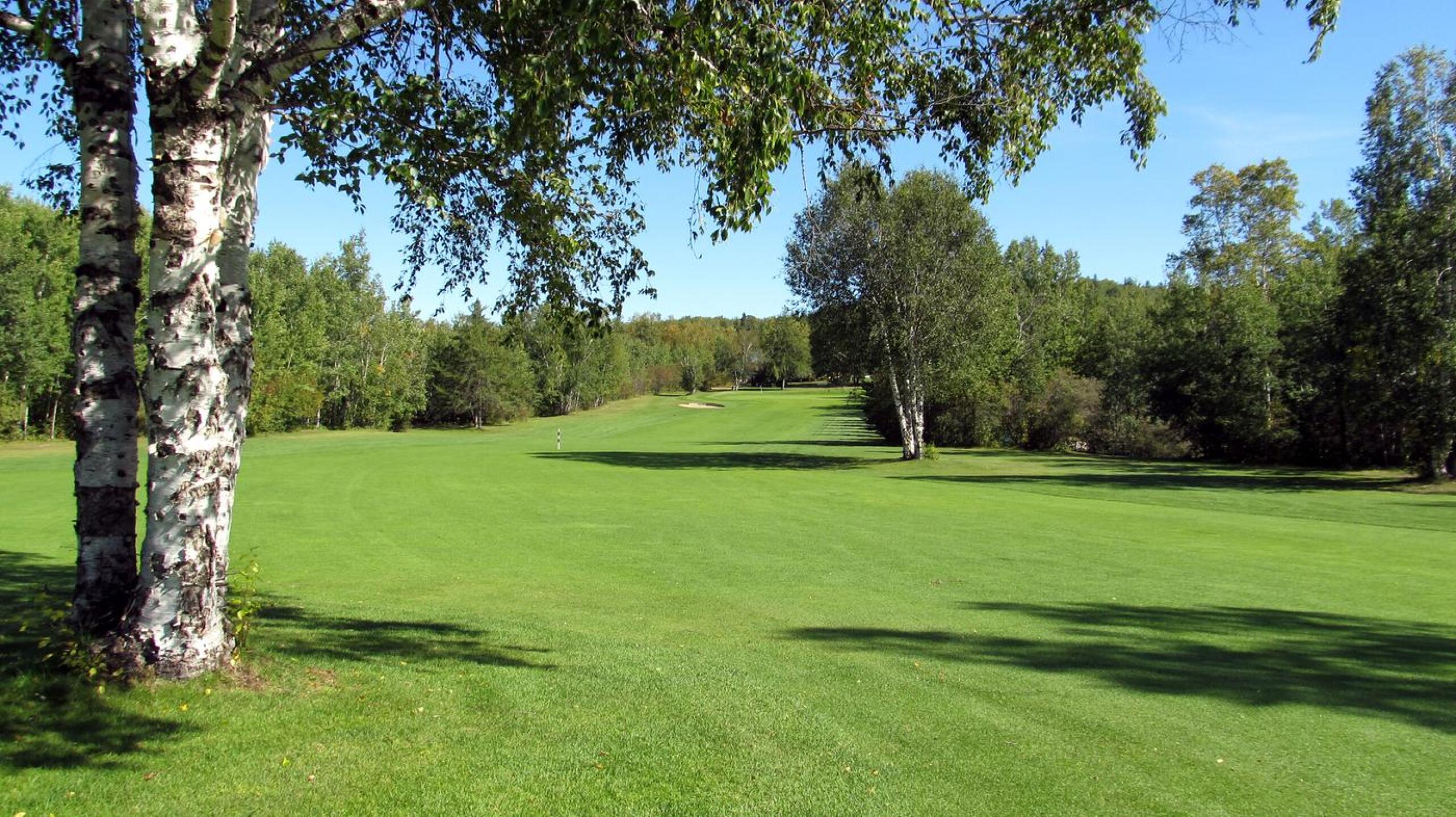 Loon Lake G&CC, Hole 5, Par 4, 406 yds, 210 yds out (Photo submitted by DYakimec on 02/29/2016)