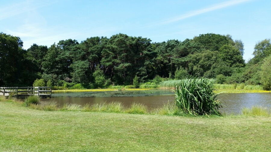 Queens Park GC