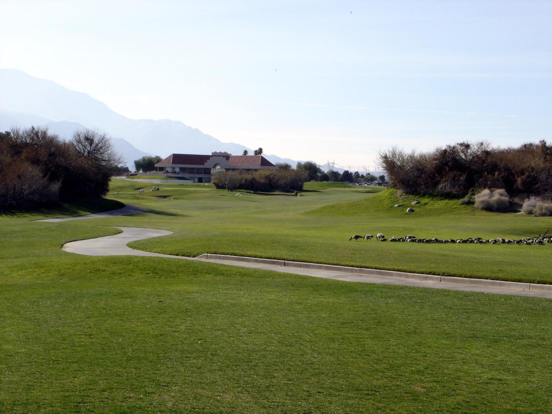 Desert Dunes GC, Hole 9, Par 5, 546 yds (Photo submitted by DYakimec on 02/25/2016)