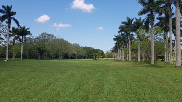 Tuxpan GC