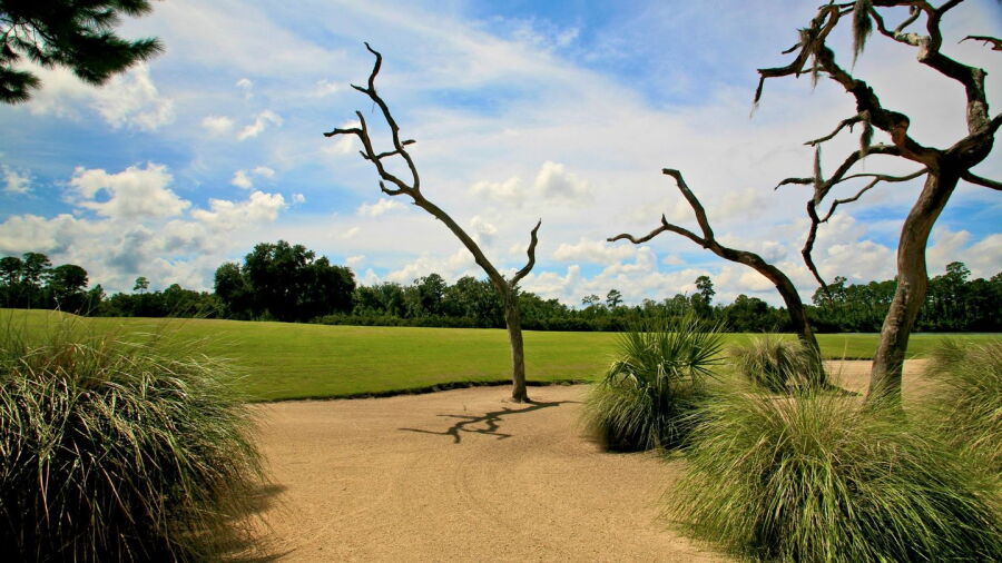 Hammock Dunes - Rees Jones Creek: #10