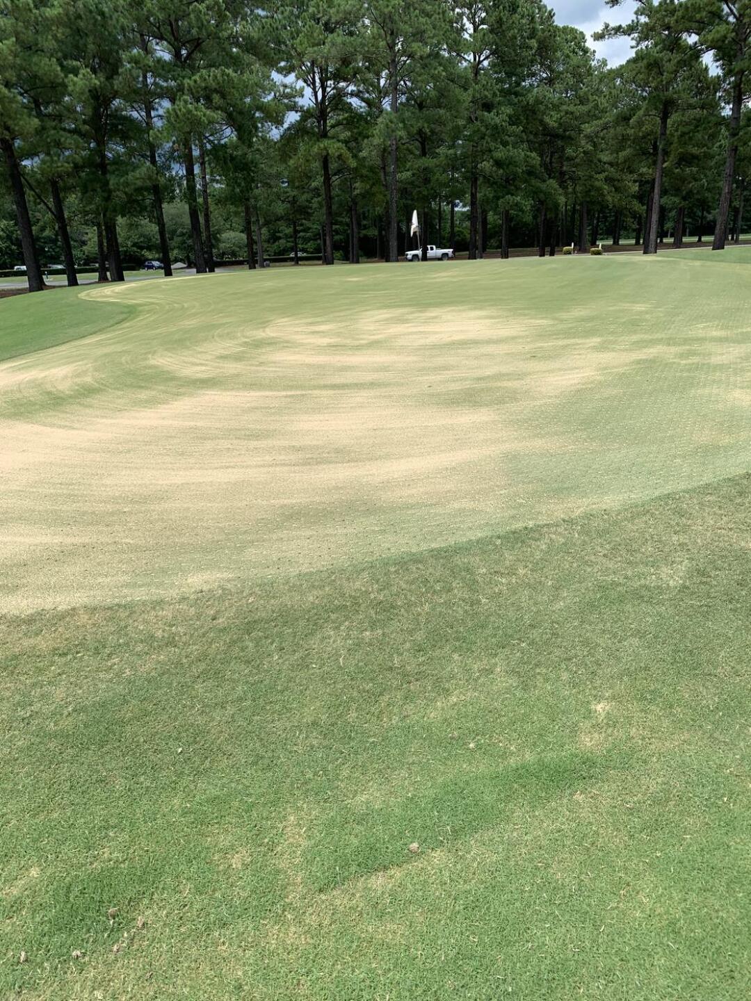 (Photo submitted by u314160509842 on 07/10/2022)