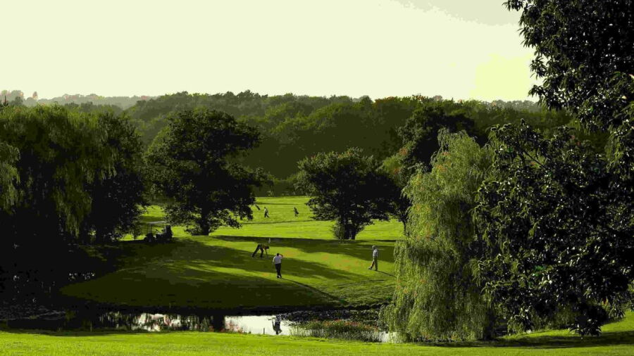 Meon Valley - Meon: #12