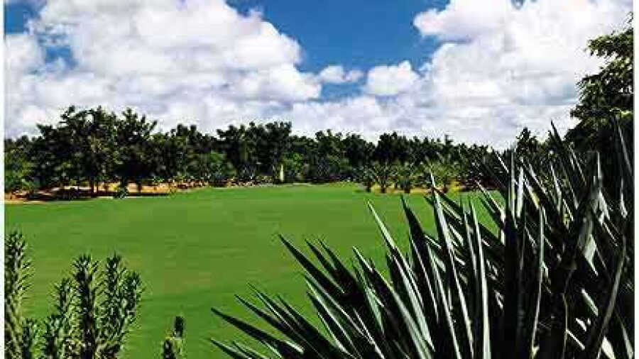 Golf De Saly: #6