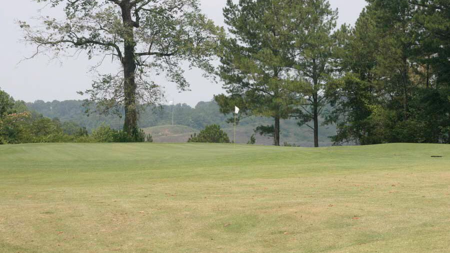 White at Mountain View GC