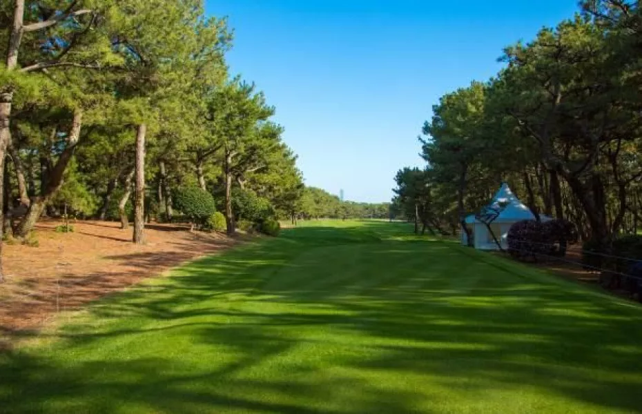 Phoenix CC - Sumiyoshi: #6