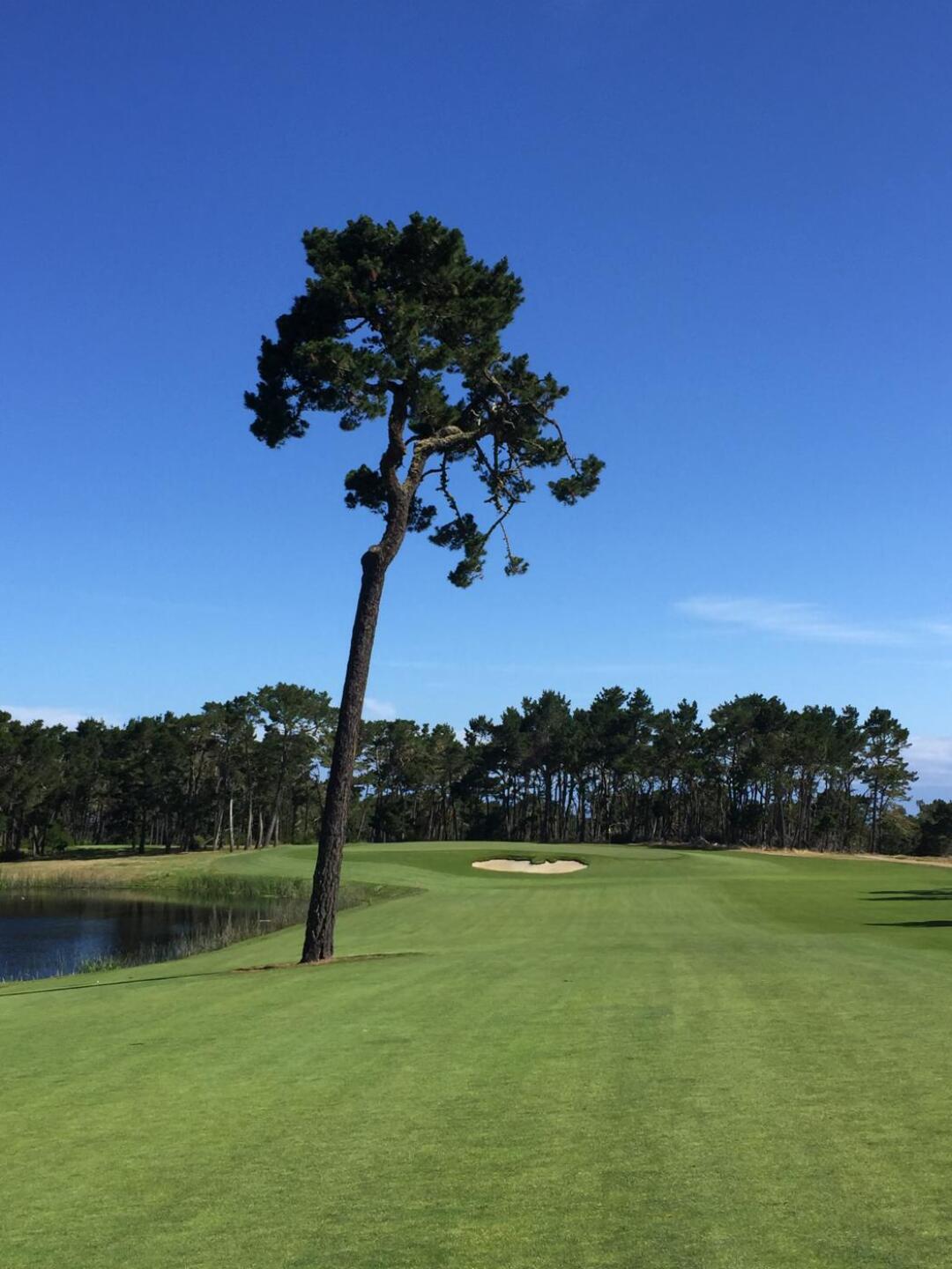 (Photo submitted by Pouxie on 09/19/2019)