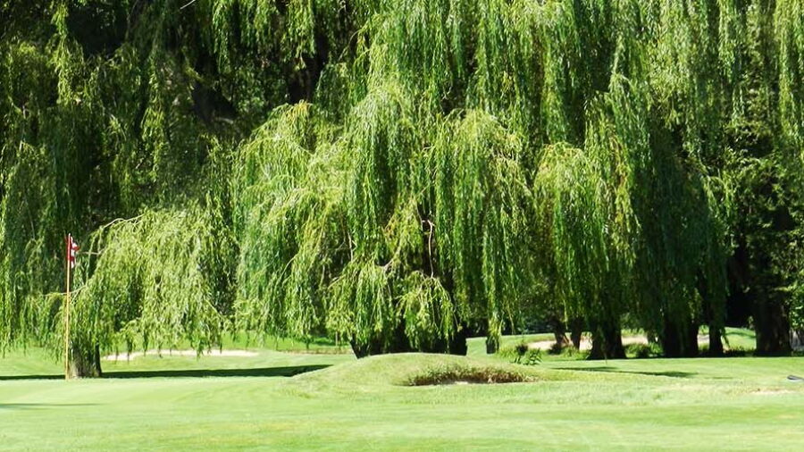 Indian Hills GC