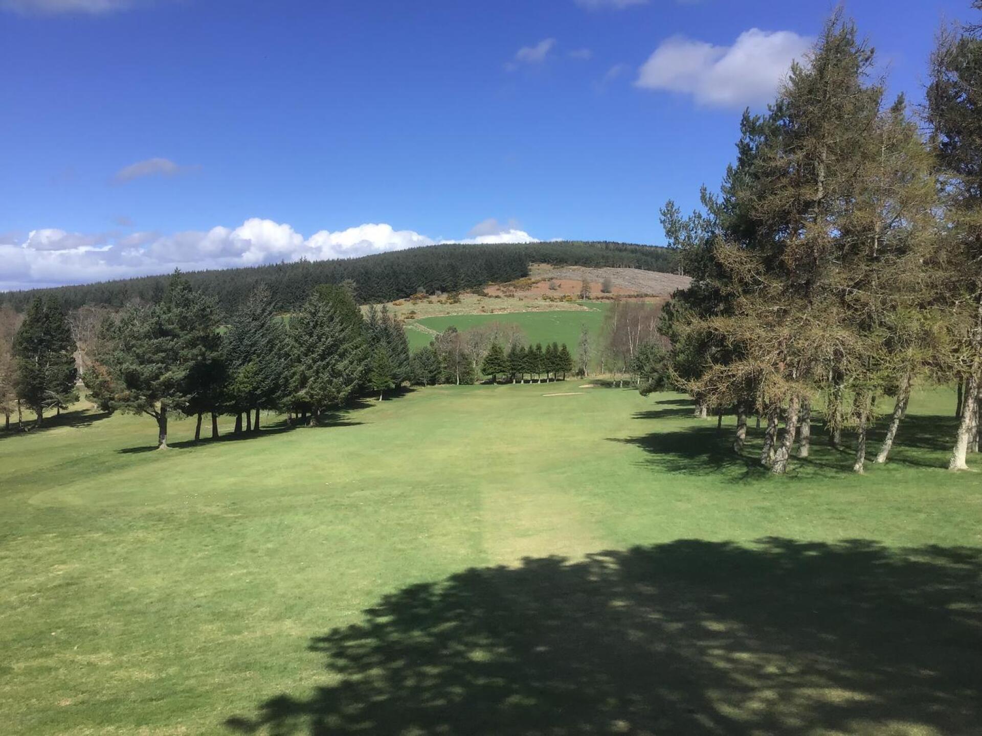 (Photo submitted by u314162643380 on 04/21/2022)