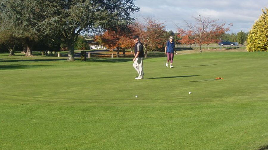Te Puke GC: #11