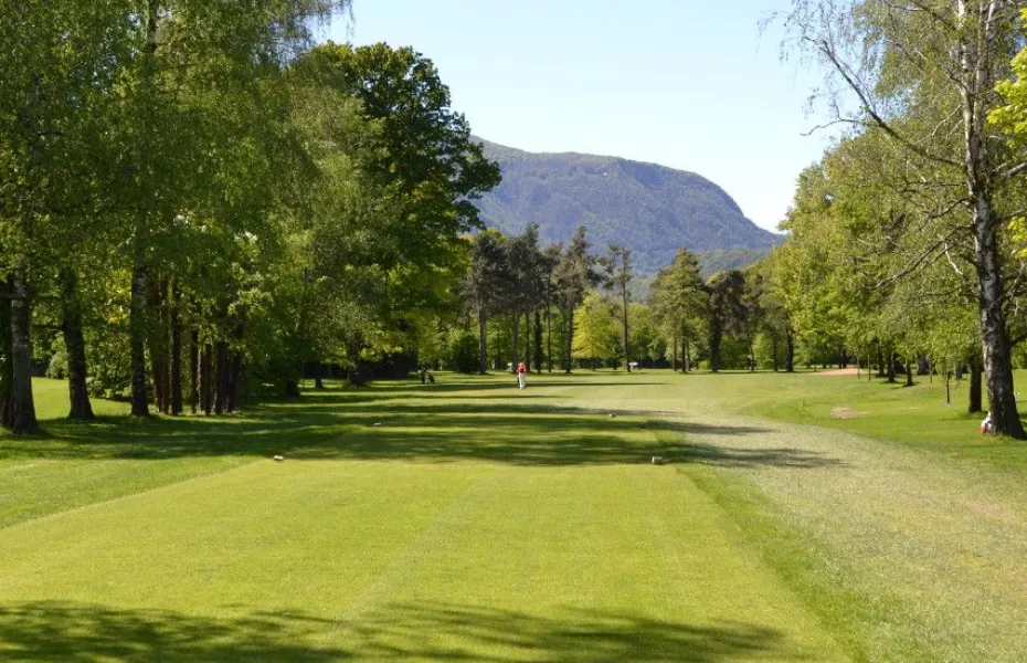 Patriziale Ascona GC: #13