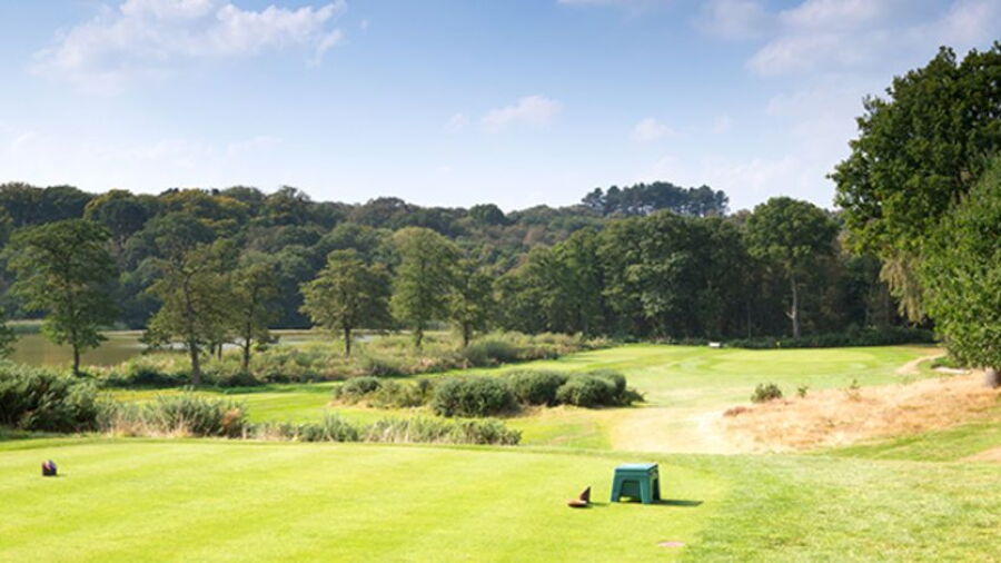 Sandiway GC: #11
