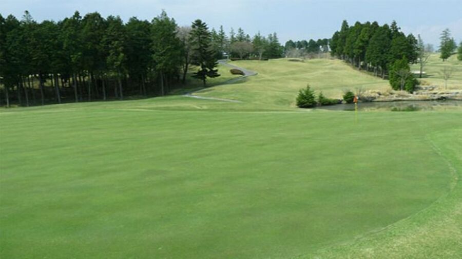 Pete Dye GC - Royal: #12