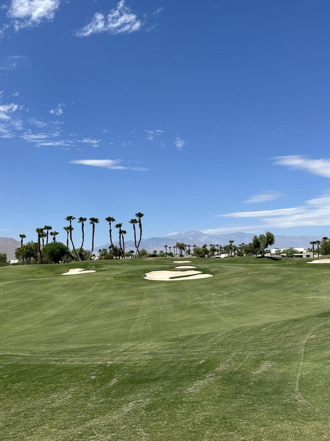 (Photo submitted by jgj26 on 10/22/2024)