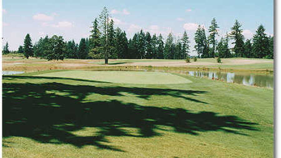 Stone Creek #17
