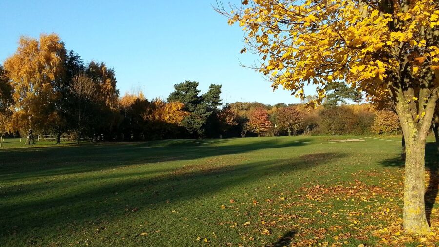 Ruddington Grange GC: #15