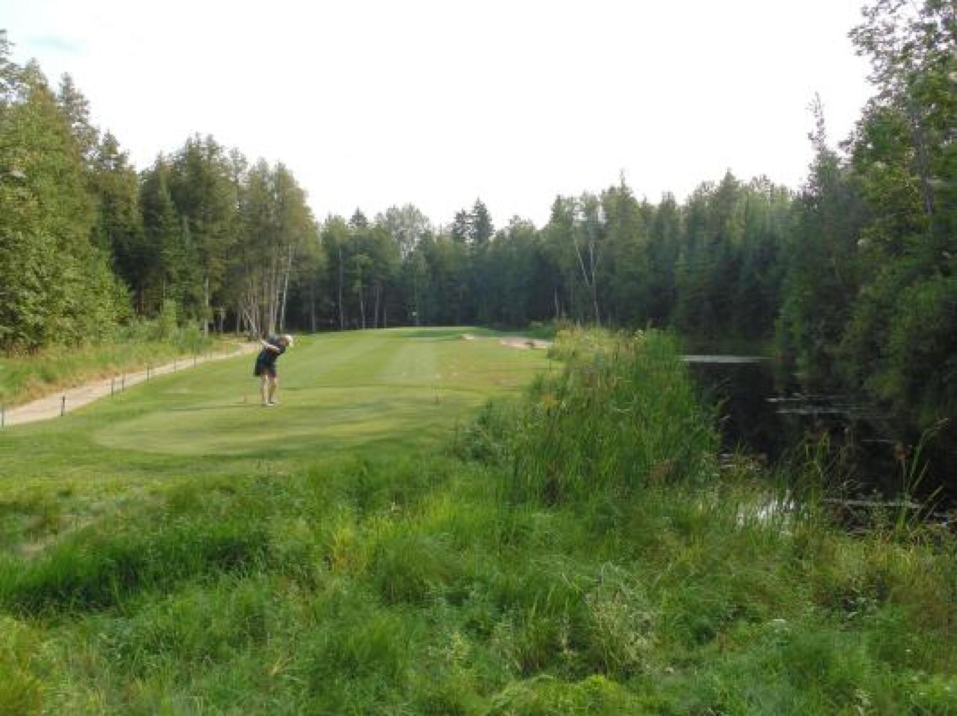 Nice par 3 following the beast of #11. (Photo submitted by oiler3535 on 08/21/2013)