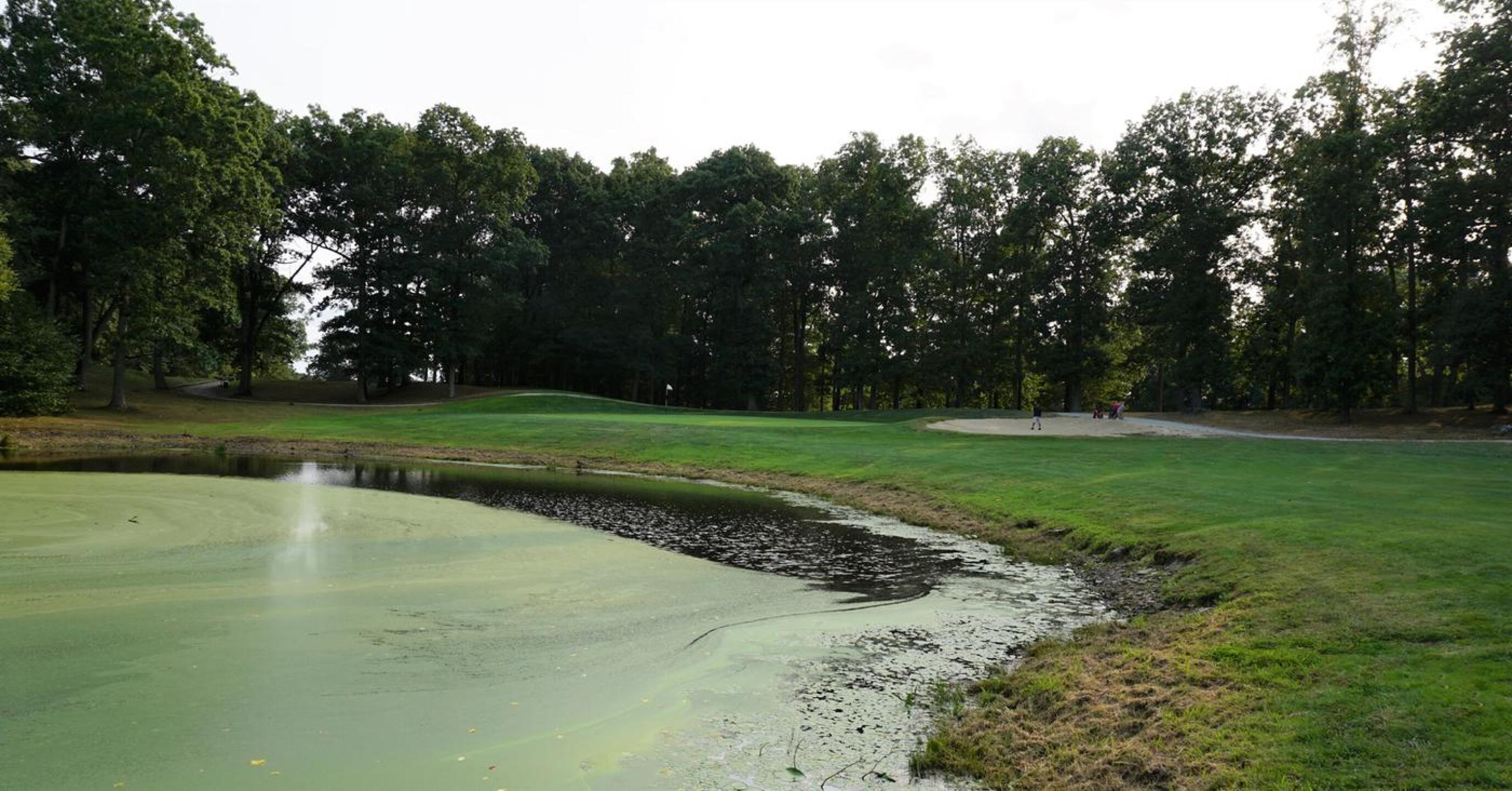 Eight: At this par-4 (index 3), I’ve heard a few expletives muttered—including my own—on many occasions. (Photo submitted by AptlyLinked on 09/17/2020)