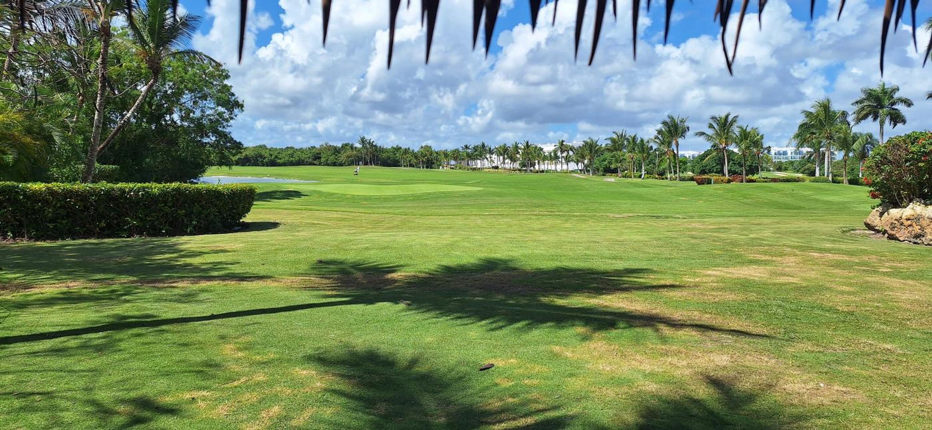 (Photo submitted by MiniWelsh on 04/07/2026)