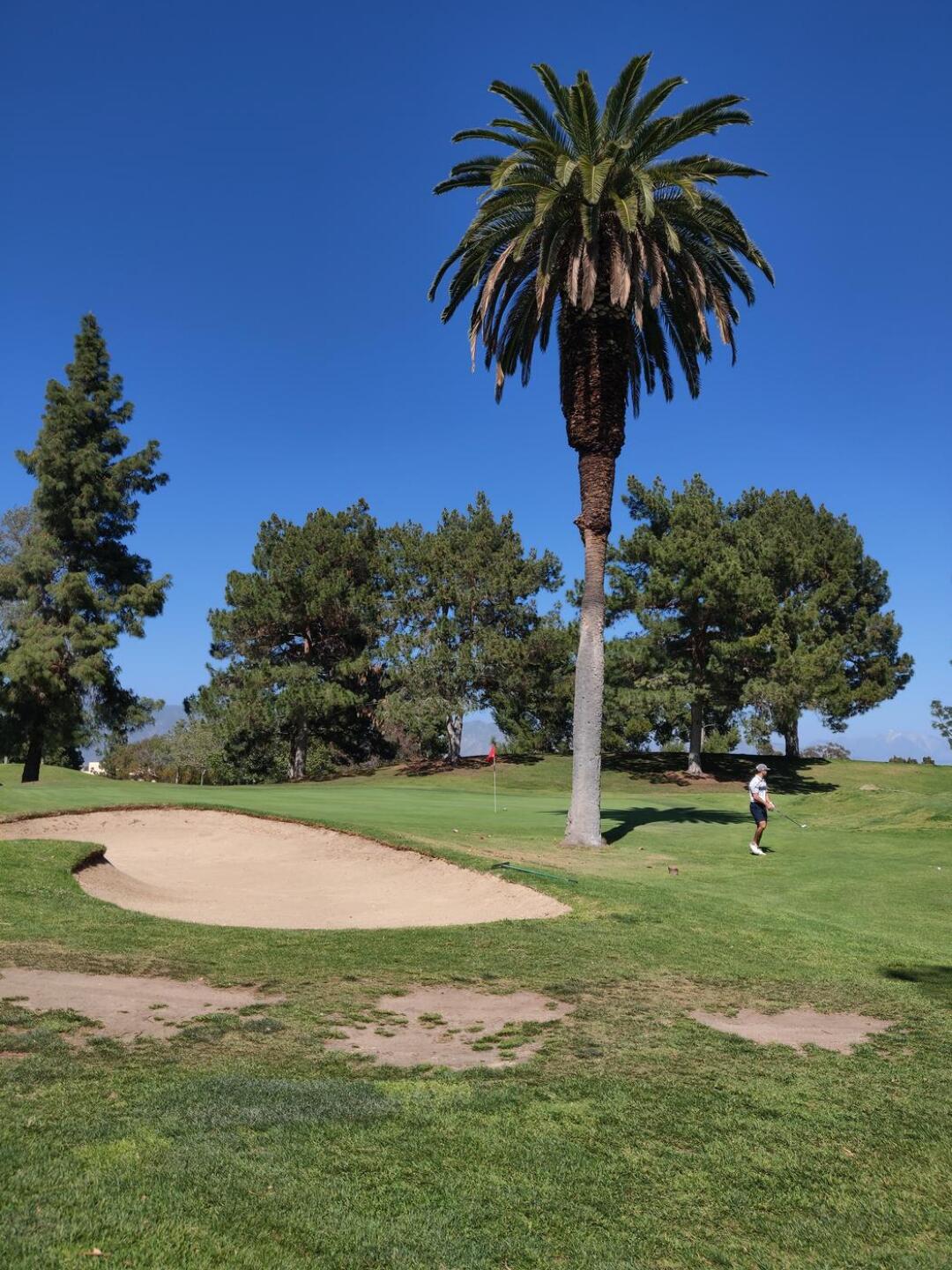 That's what I call an obstacle in front of the green! (Photo submitted by u314162179205 on 04/07/2022)