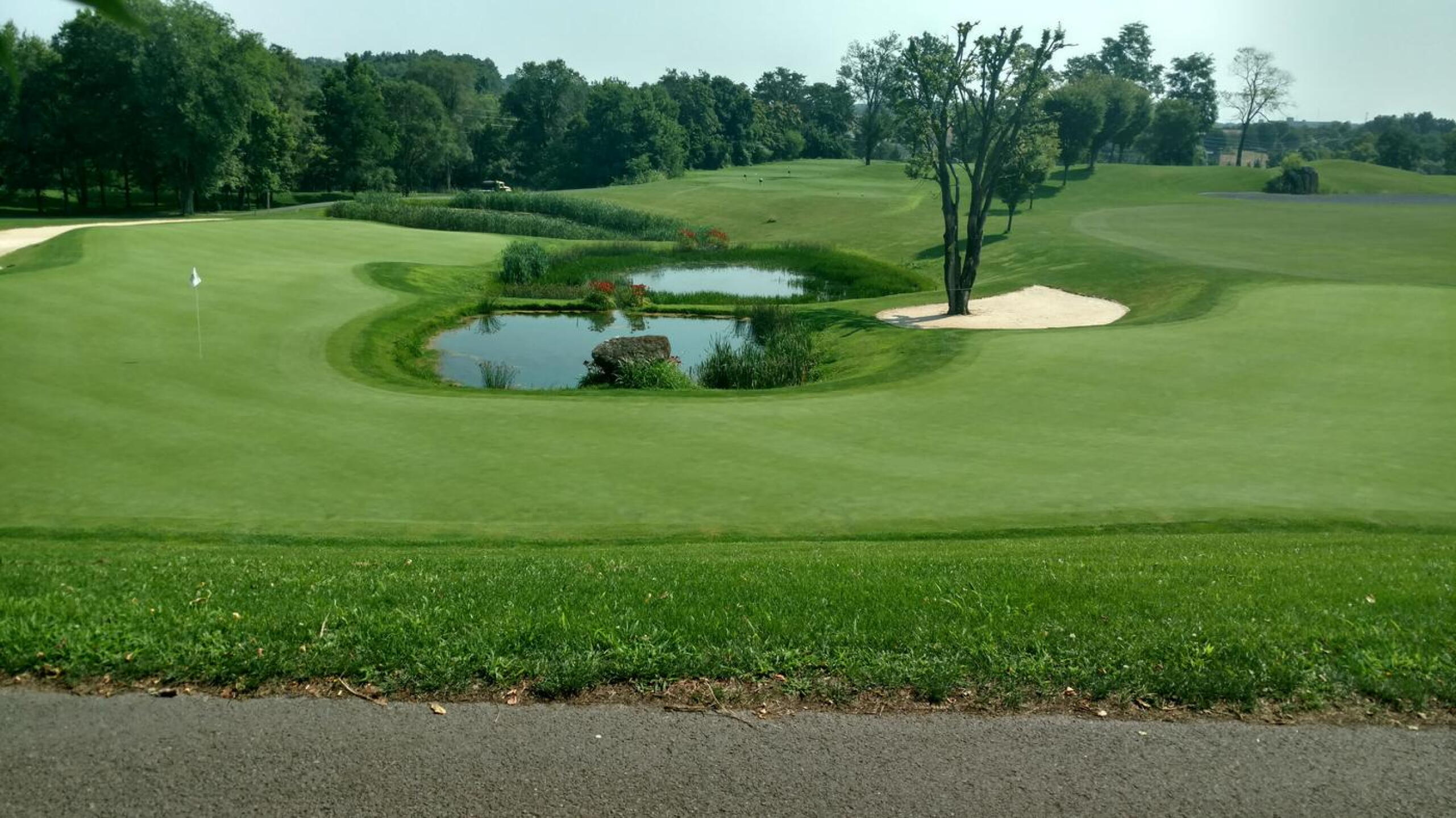 The largest green on the course is shared by a par-3 on Rock and a par-4 on Boulder. (Photo submitted by Back9Ben on 07/21/2017)