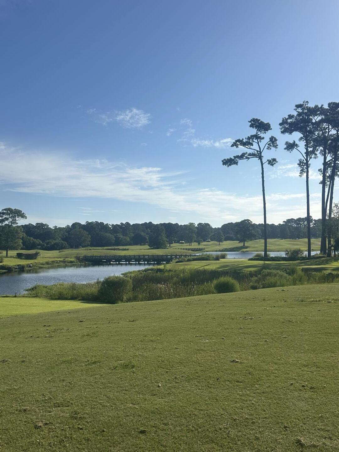 (Photo submitted by 4BpHUi0q1vFCRbES4YfG on 09/02/2025)