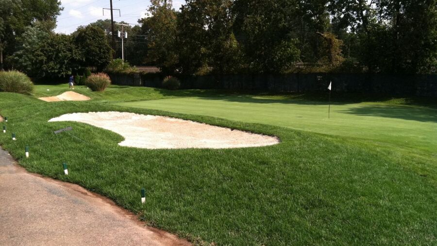 Colonia CC: #8
