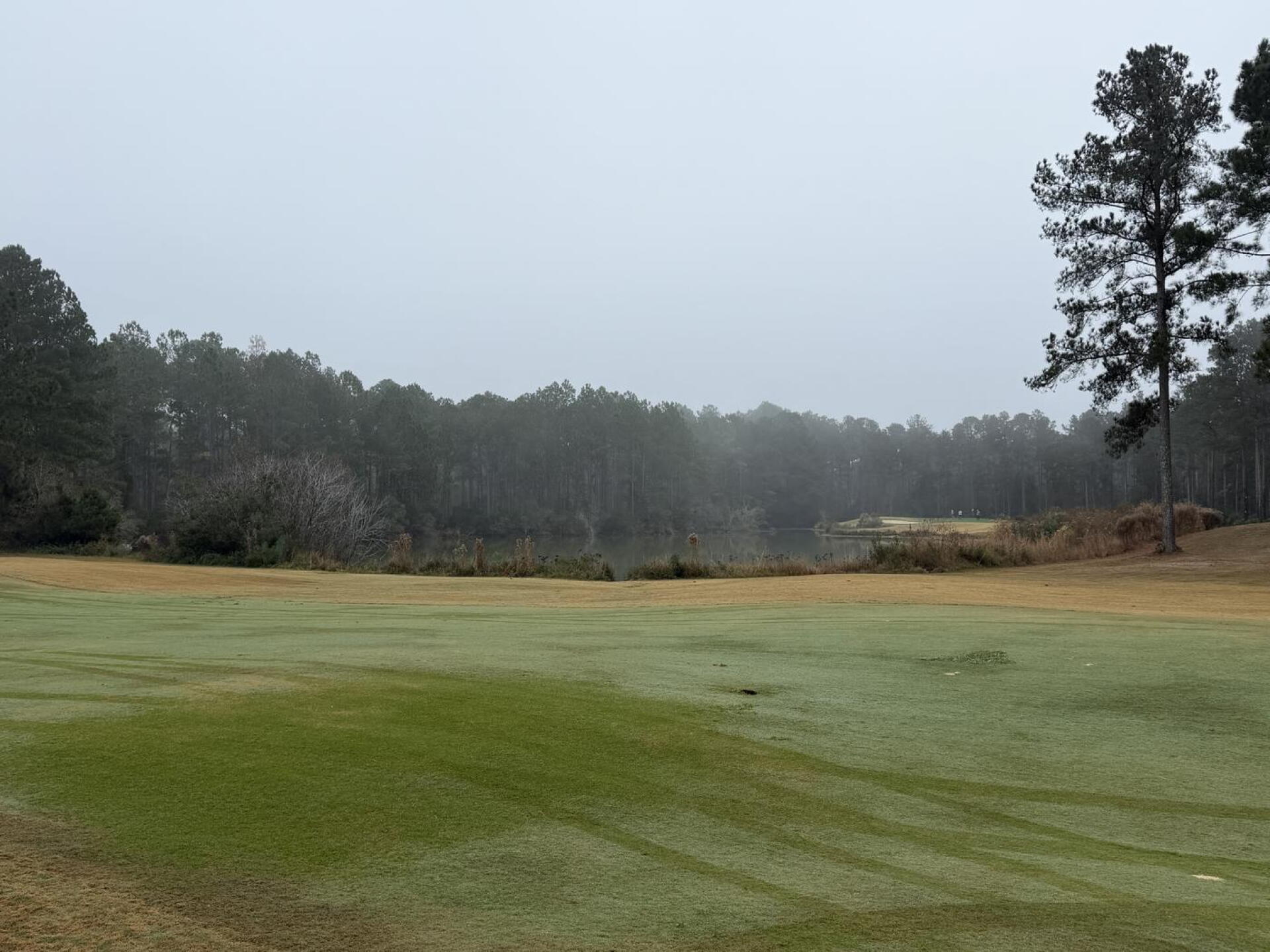 (Photo submitted by isuckatgolf83 on 11/27/2025)