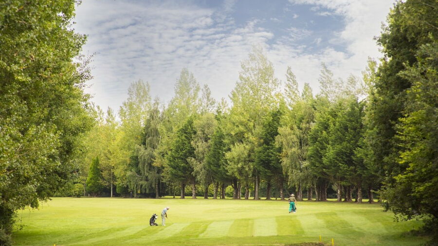 The Bulbury Woods golf course
