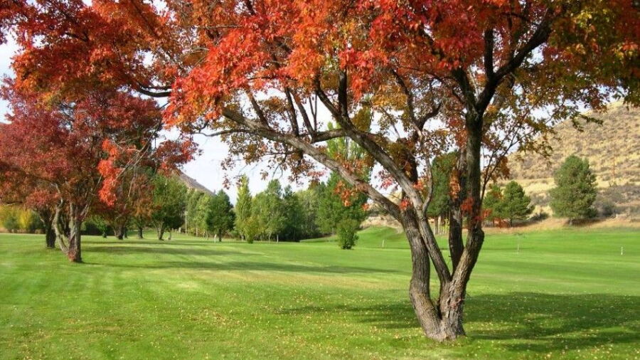 Bear Creek GC
