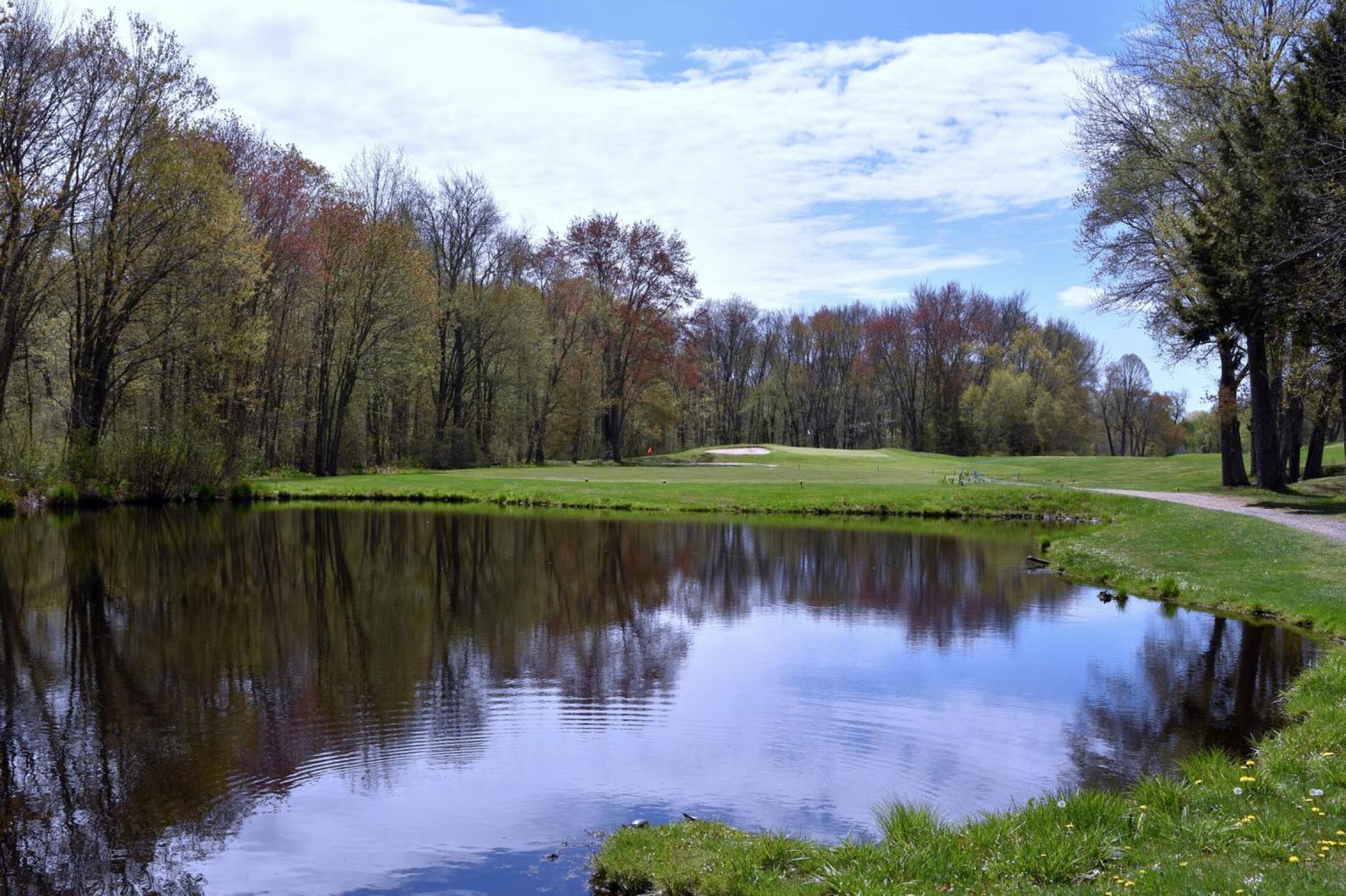 Preceding the fifth fairway is this scenic pond, inhabited, among other creatures, by turtles. (Photo submitted by AptlyLinked on 05/04/2025)