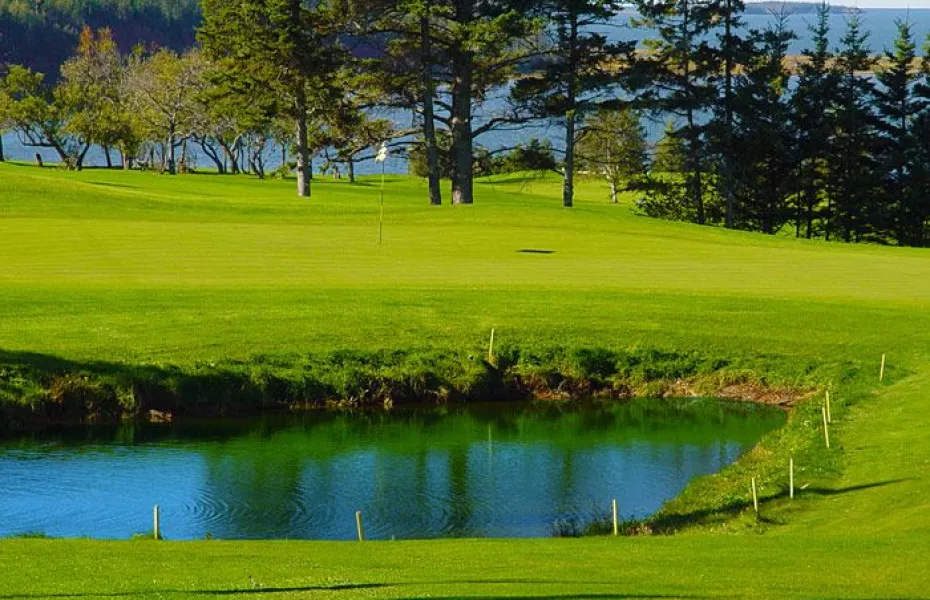 Belfast Highland Greens: #4