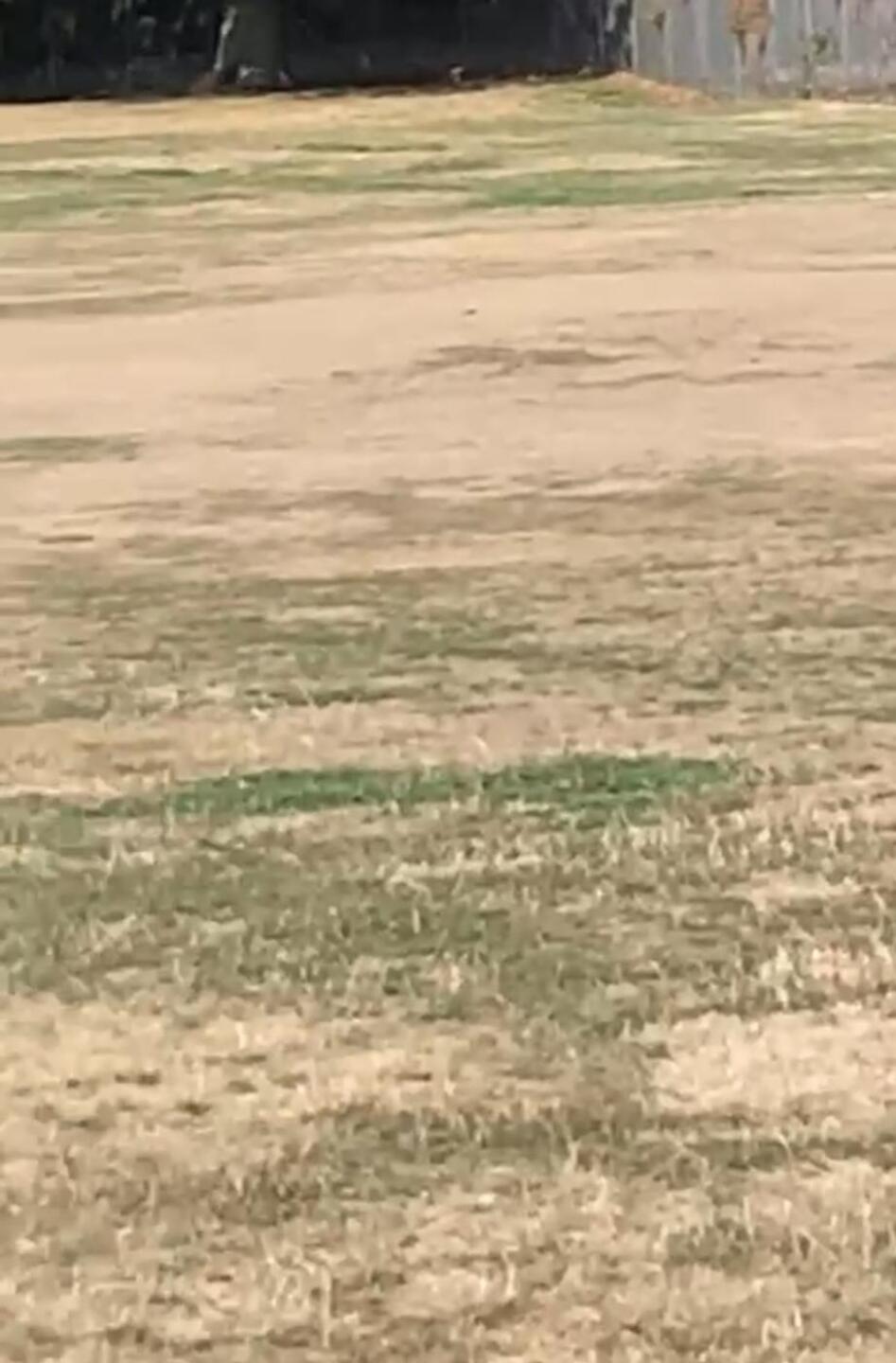 Dirt fairway (Photo submitted by Pvalente on 08/28/2022)