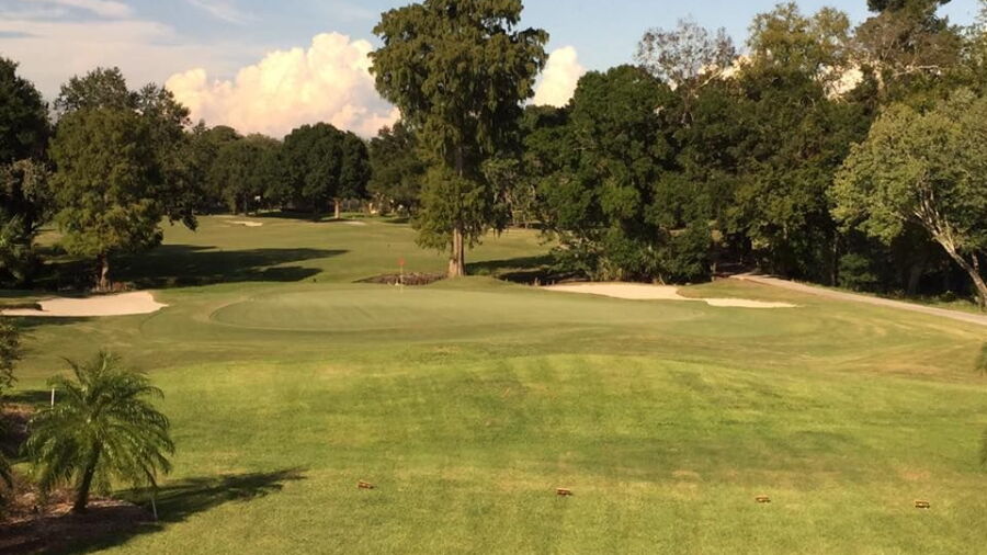 Cypress Run GC