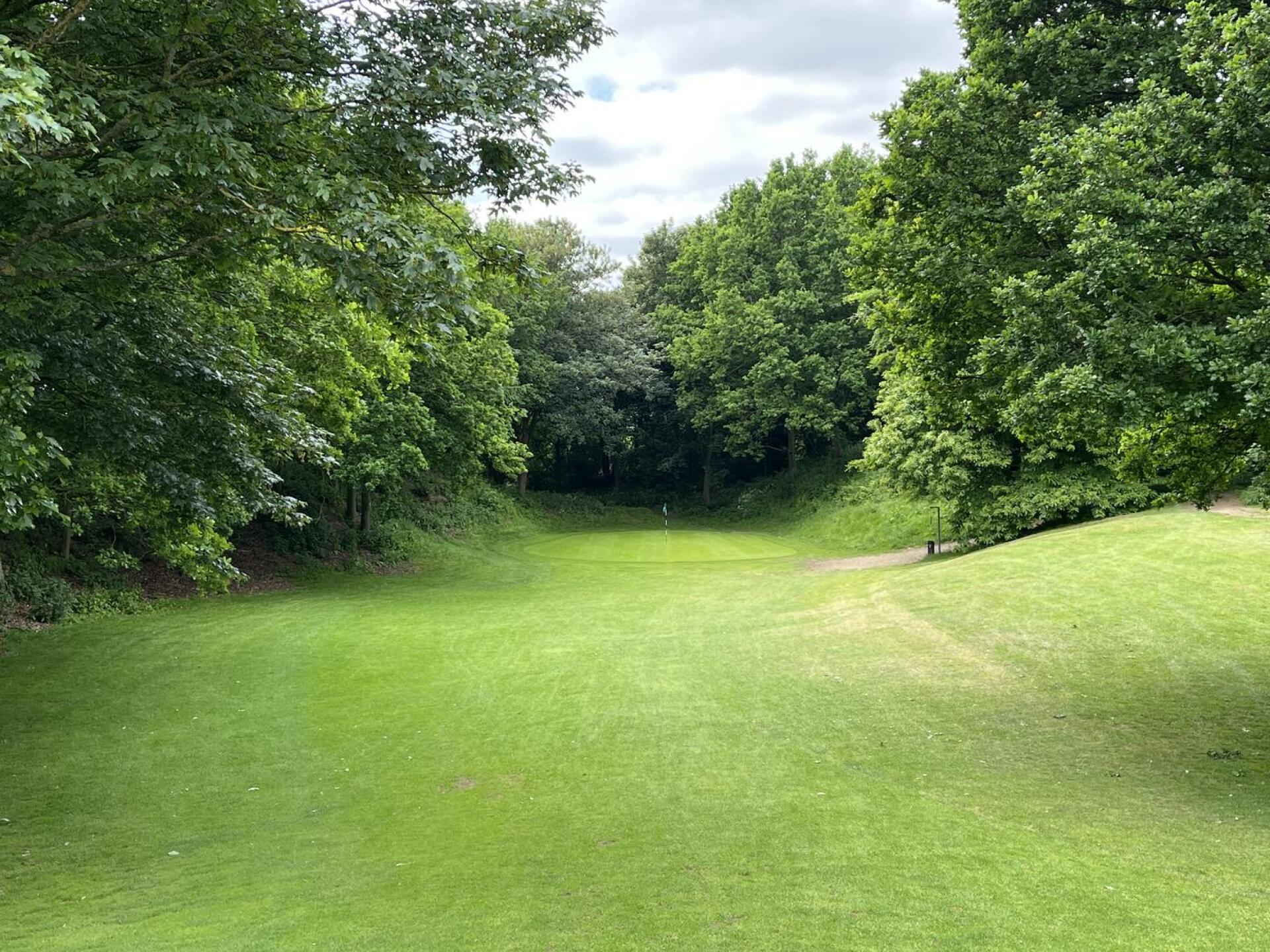 (Photo submitted by DanHankey on 06/05/2023)