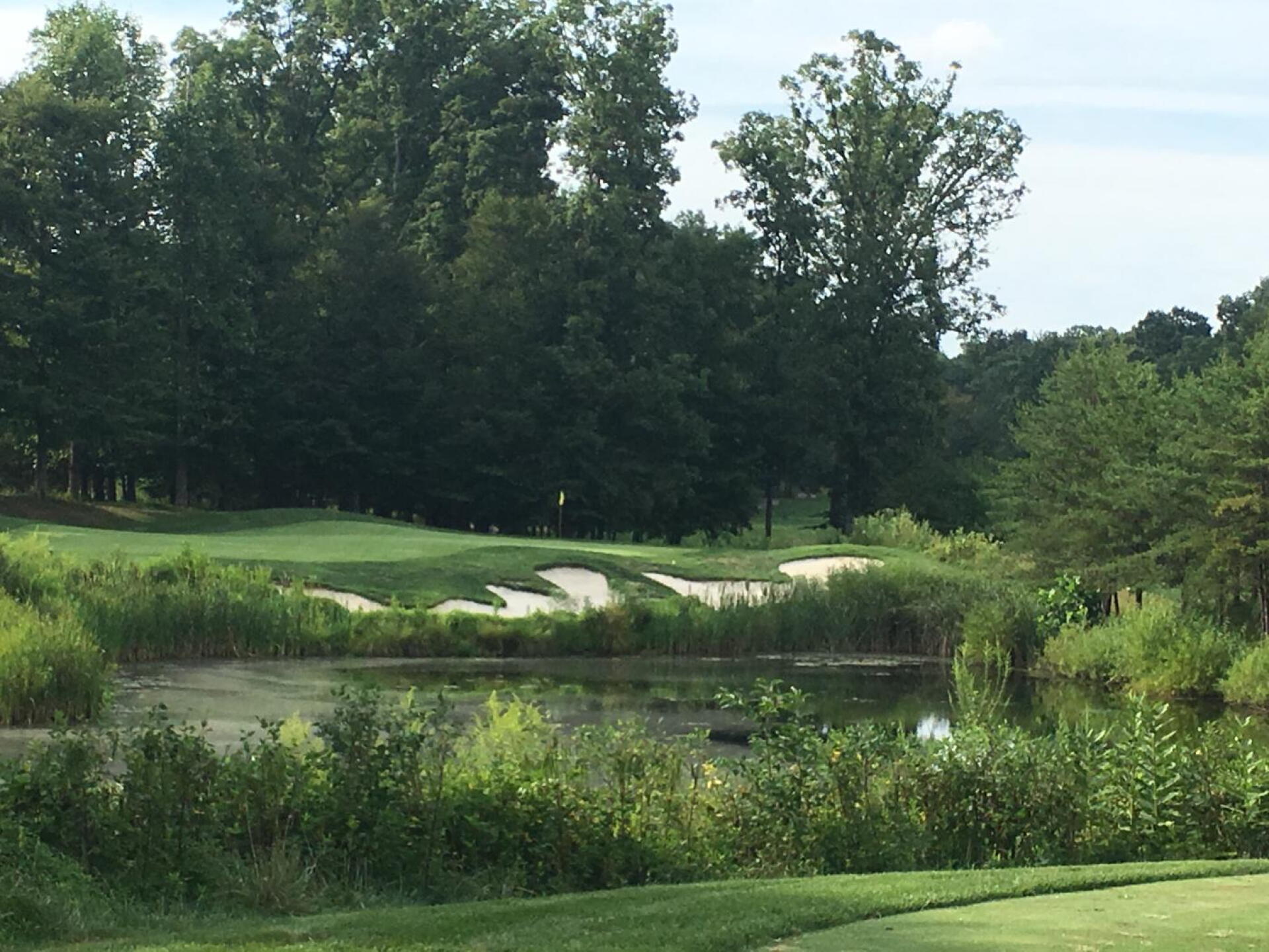 Par 3 16th. Nice! (Photo submitted by Bob6985879 on 08/19/2019)