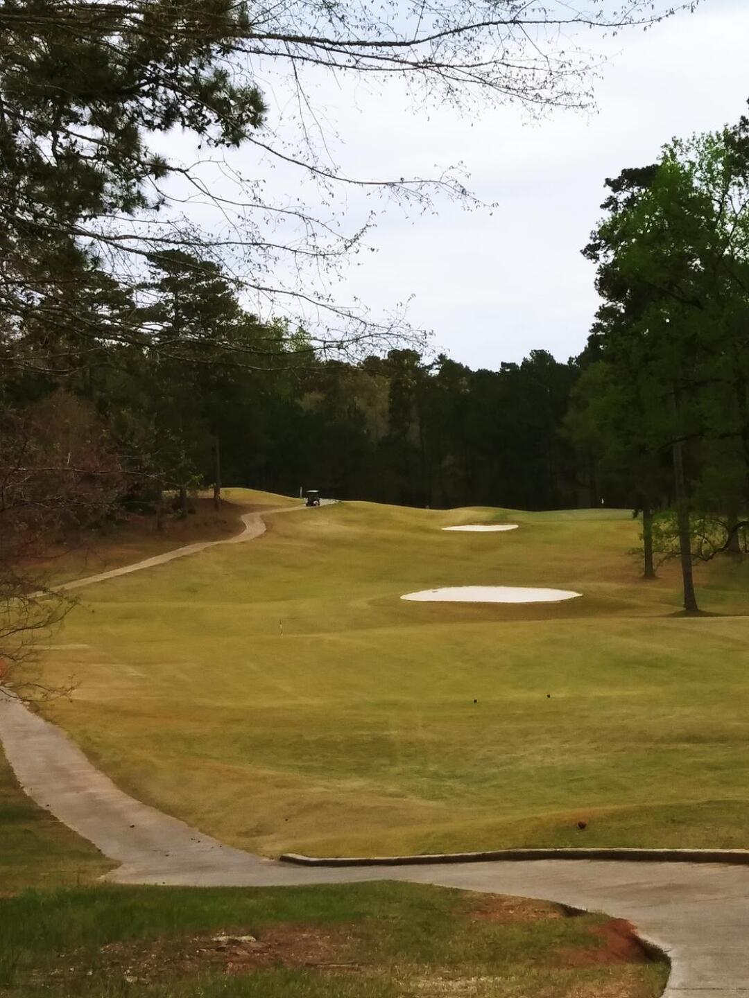 Number 2 (Photo submitted by Drumlime on 04/06/2019)