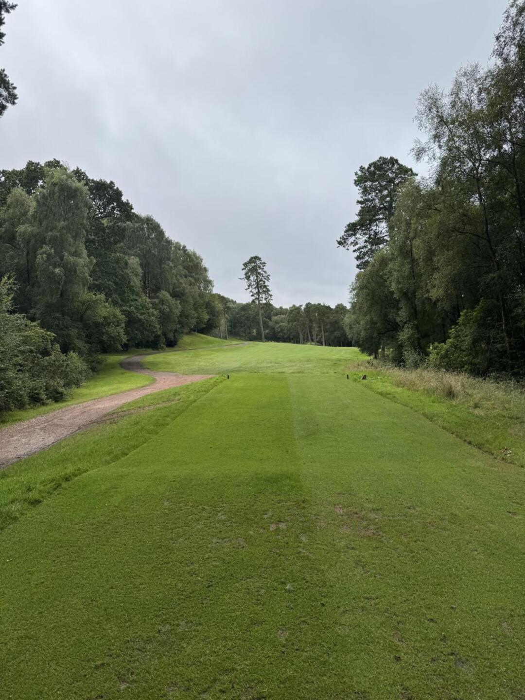 (Photo submitted by Bellshill1 on 08/05/2026)