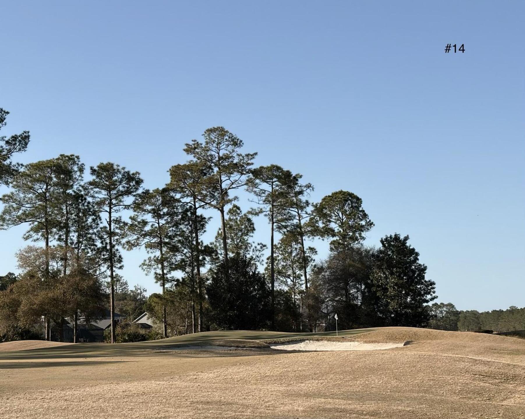 (Photo submitted by u314159582643 on 02/13/2026)