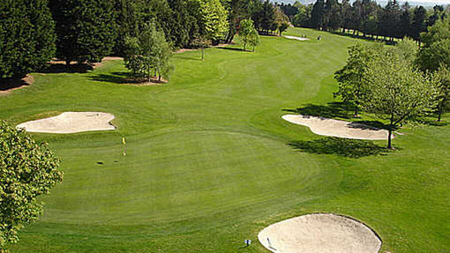 Monkstown GC: #11
