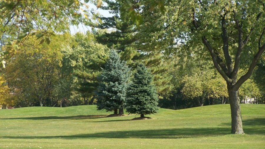 Bloomingdale GC