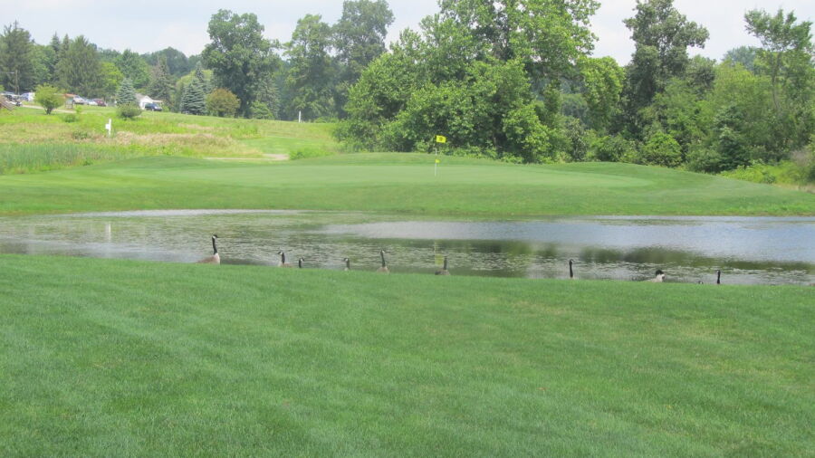 Indian Run GC