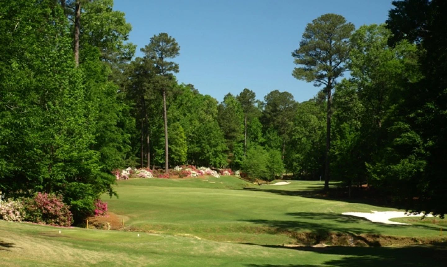 Dancing Rabbit Golf Club - Azaleas course - No. 9